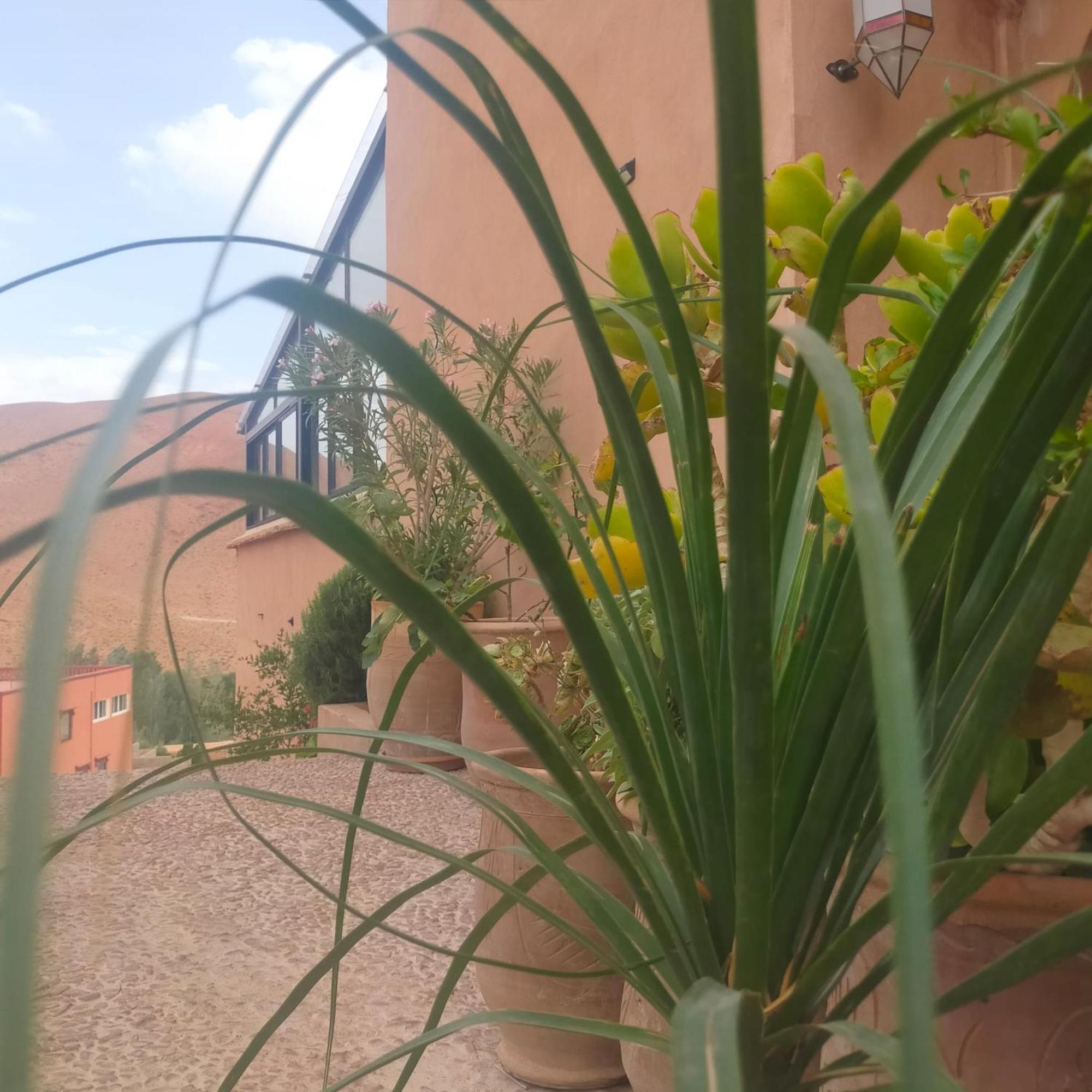 Kasbah Flilou Hotel Ait Ougliff Екстериор снимка
